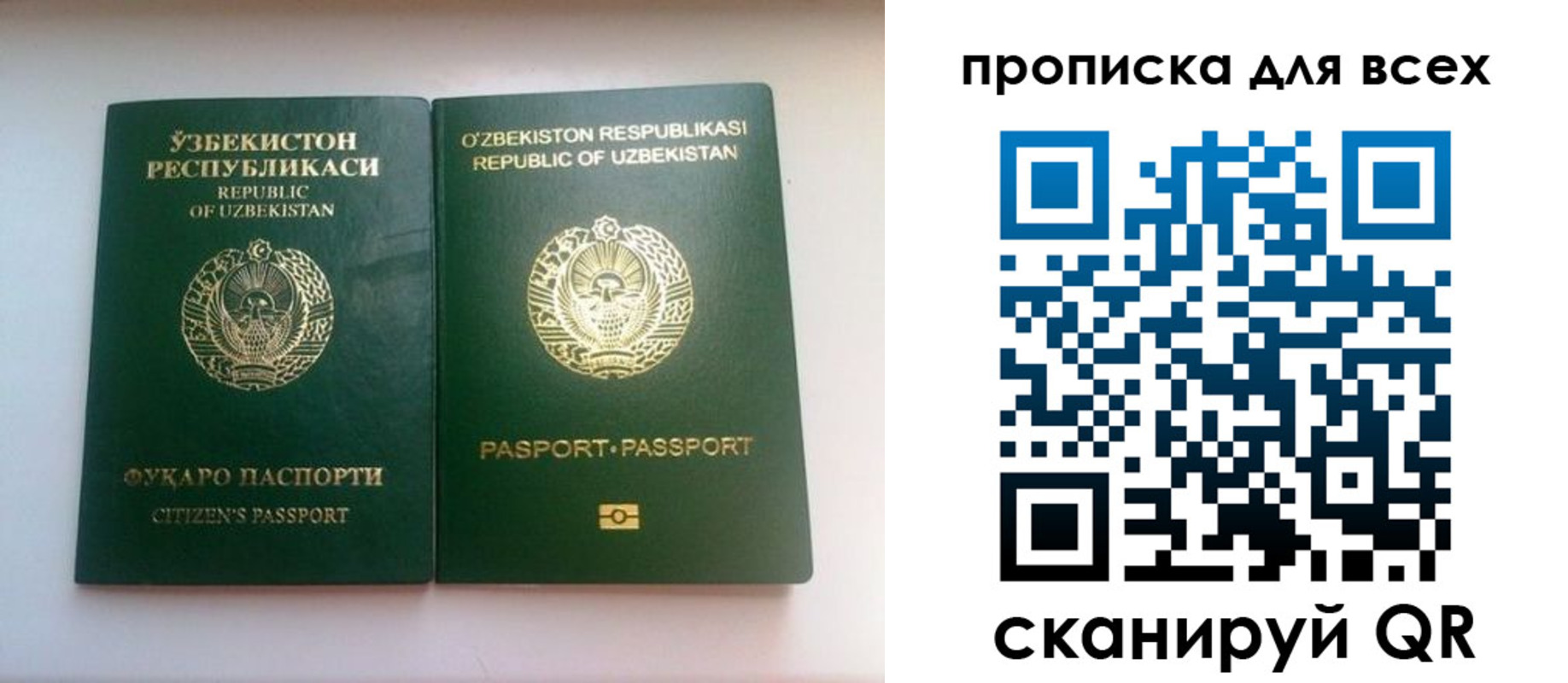 прописка для школы в Цивильске